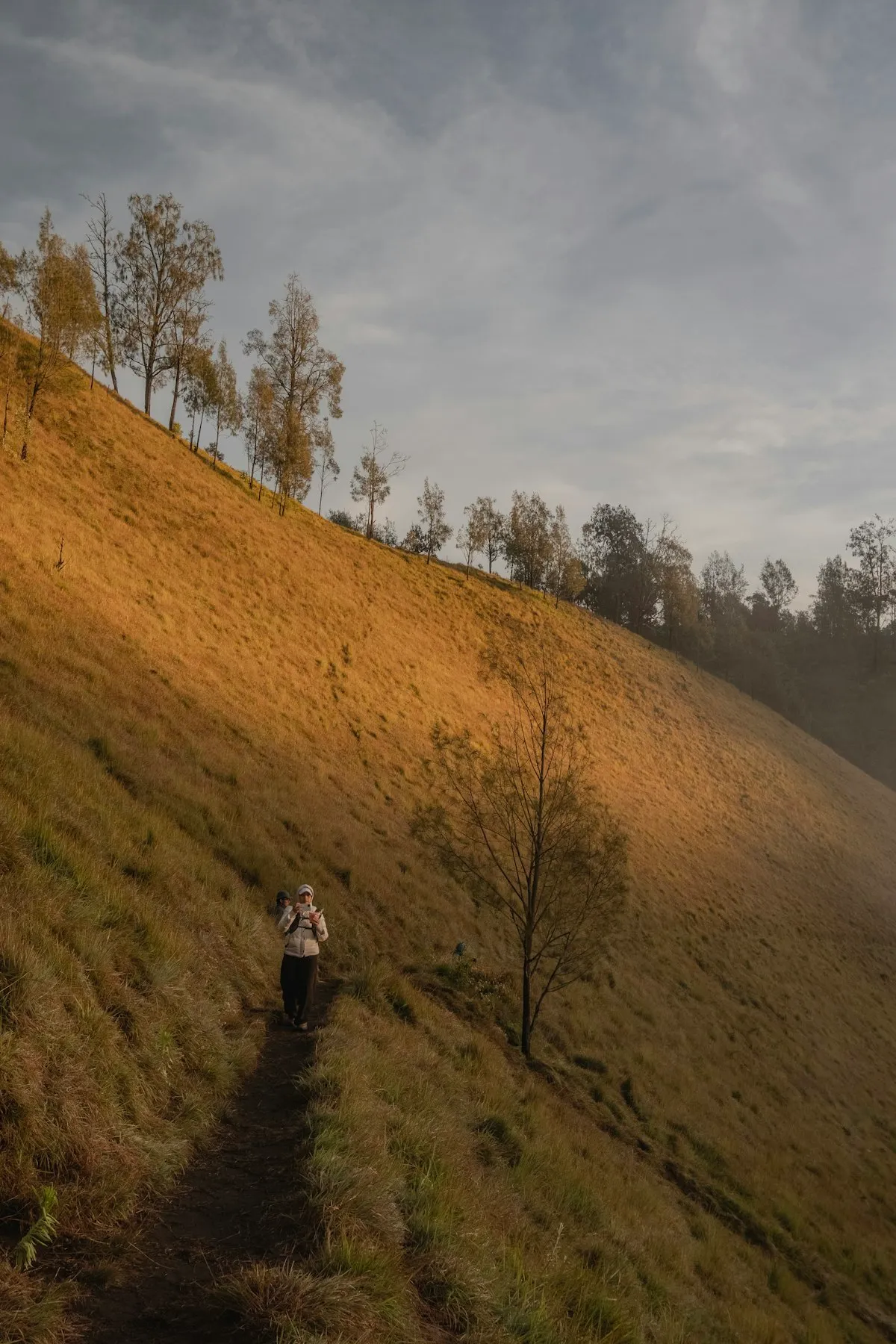 A person hiking a golden hillside at sunrise