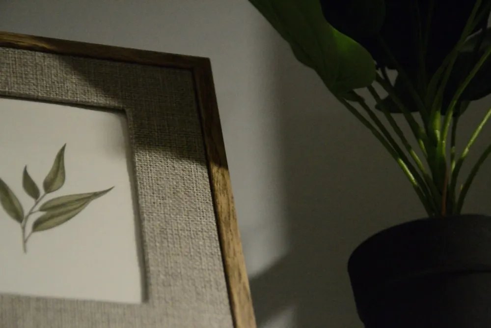A framed botanical print beside a potted plant